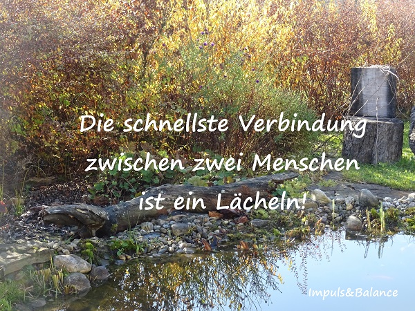 04-Spruch.jpg