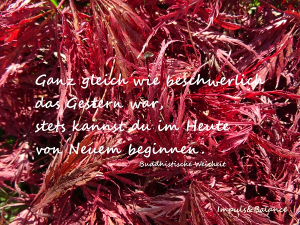 06-Spruch.jpg